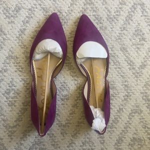 Sam Edelman purple suede Rodney flats